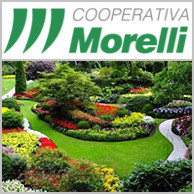 COOPERATIVA MORELLI