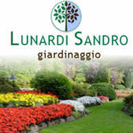 LUNARDI SANDRO